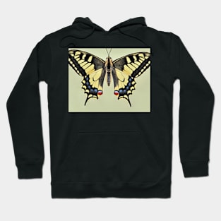 BUTTERFLY Hoodie